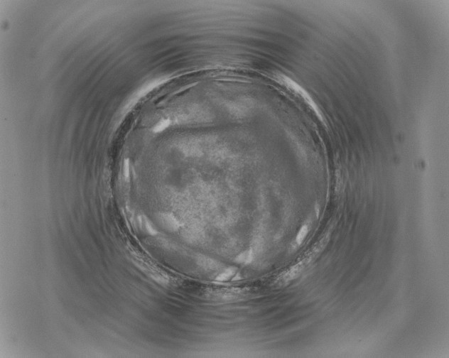 X0000075381019200609291545