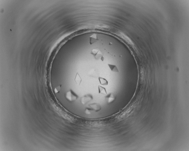 X0000075381020200609291545