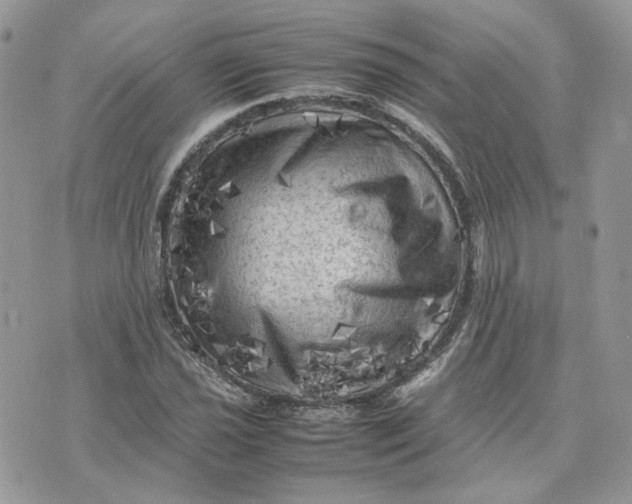 X0000075381021200609291545