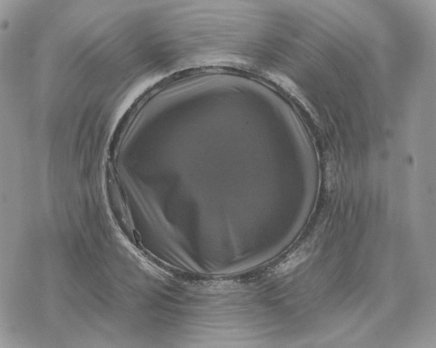 X0000075381024200609291545