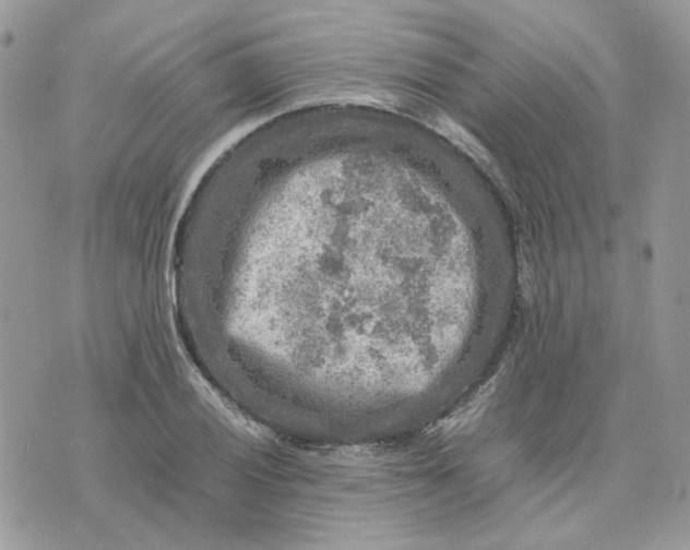 X0000075381028200609291546