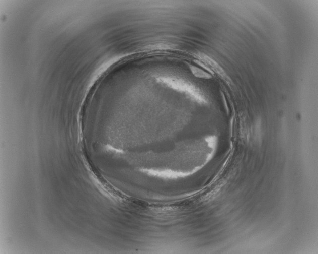 X0000075381031200609291546