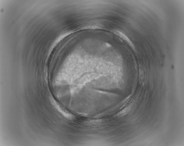 X0000075381035200609291546