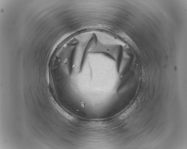 X0000075381036200609291546