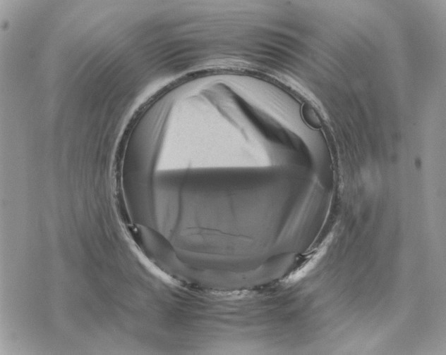 X0000075381037200609291546