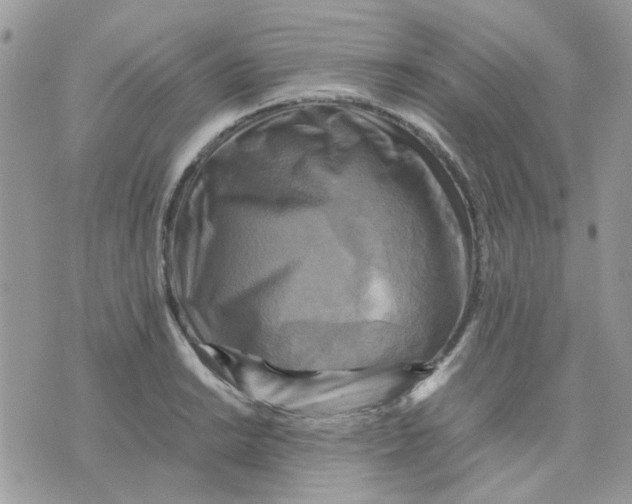 X0000075381038200609291546