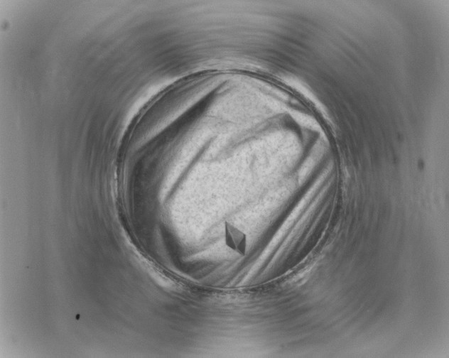 X0000075381040200609291546