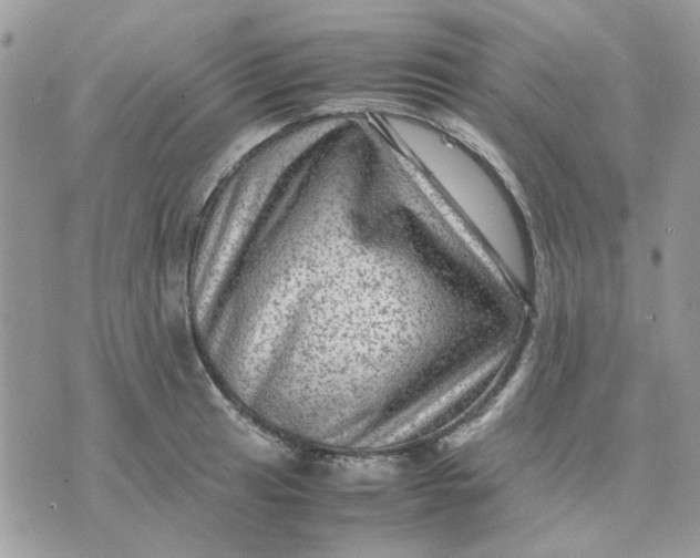 X0000075381041200609291546