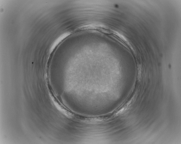 X0000075381042200609291546