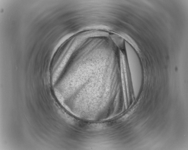 X0000075381044200609291546