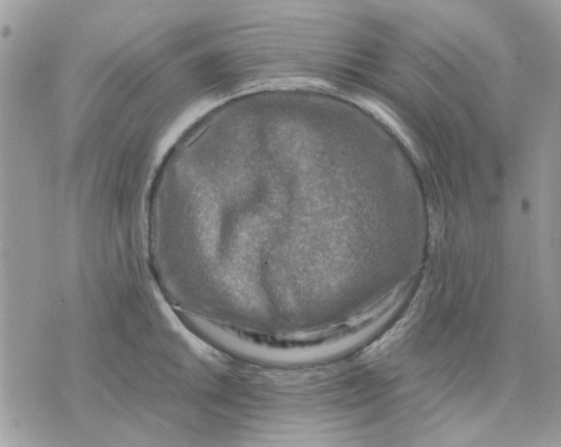 X0000075381046200609291546