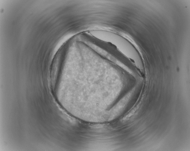 X0000075381048200609291546