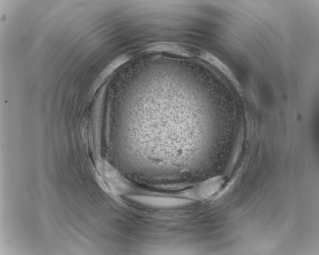 X0000075381049200609291546