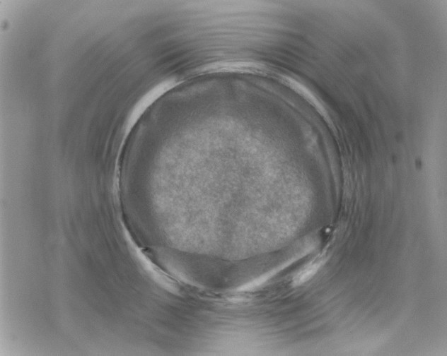 X0000075381050200609291546