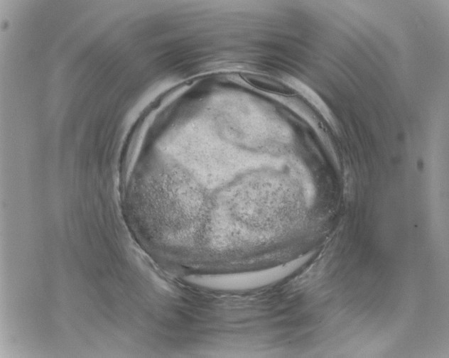 X0000075381051200609291546