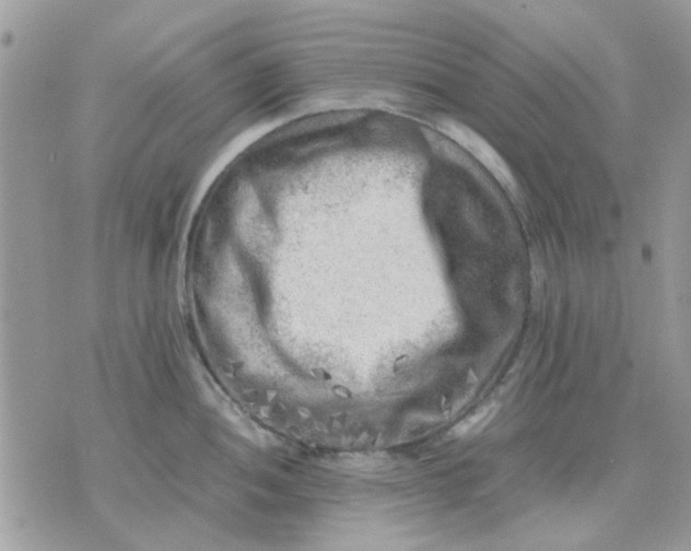 X0000075381052200609291546