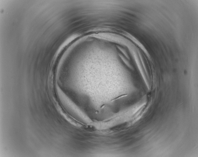 X0000075381053200609291546