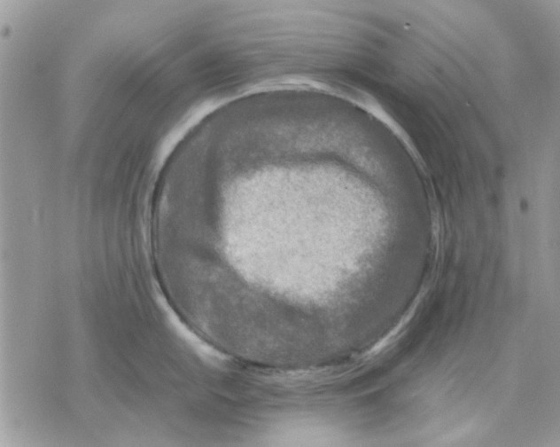 X0000075381054200609291546