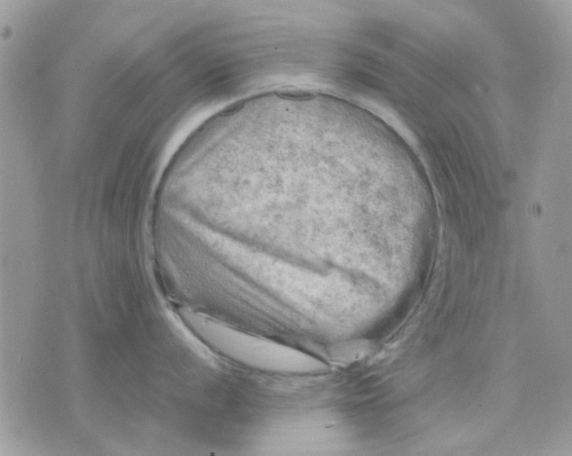 X0000075381056200609291546