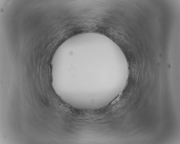 X0000075381057200609291545