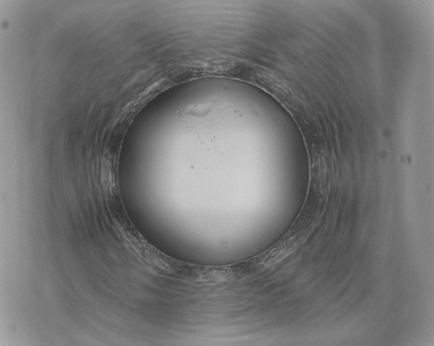 X0000075381058200609291545