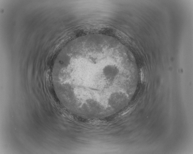 X0000075381059200609291545