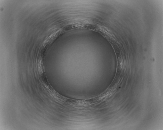 X0000075381060200609291545