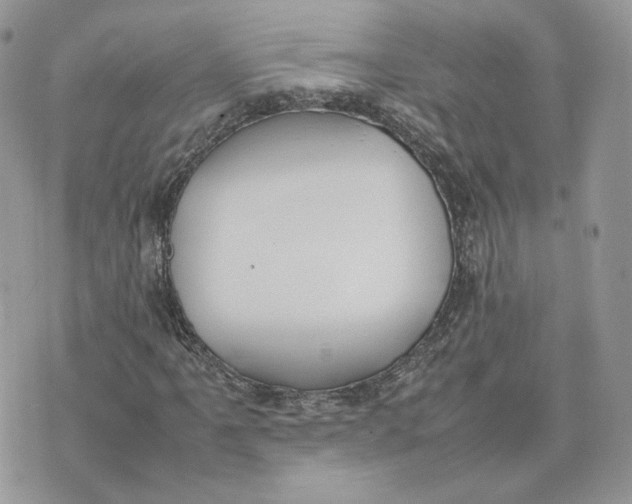 X0000075381061200609291545