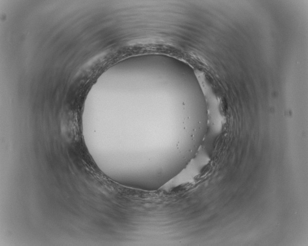 X0000075381062200609291545