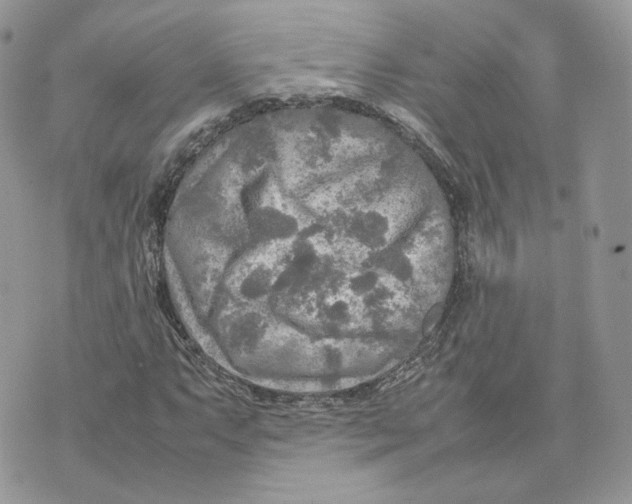 X0000075381063200609291545