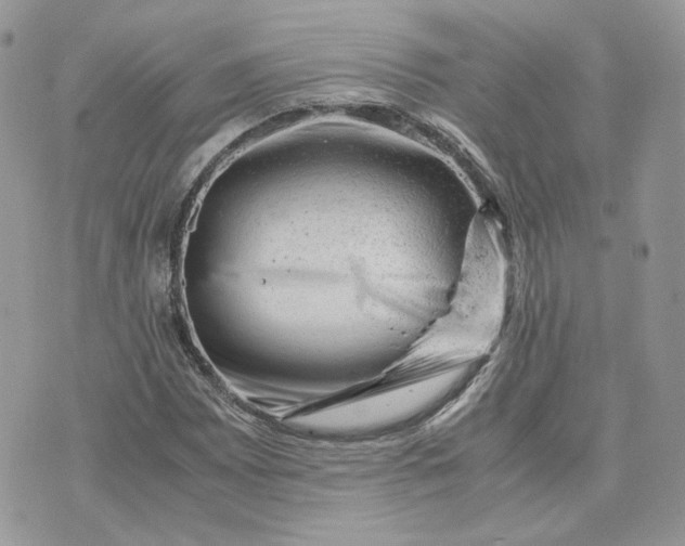 X0000075381065200609291545