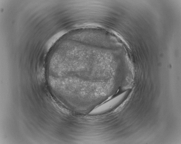 X0000075381066200609291545