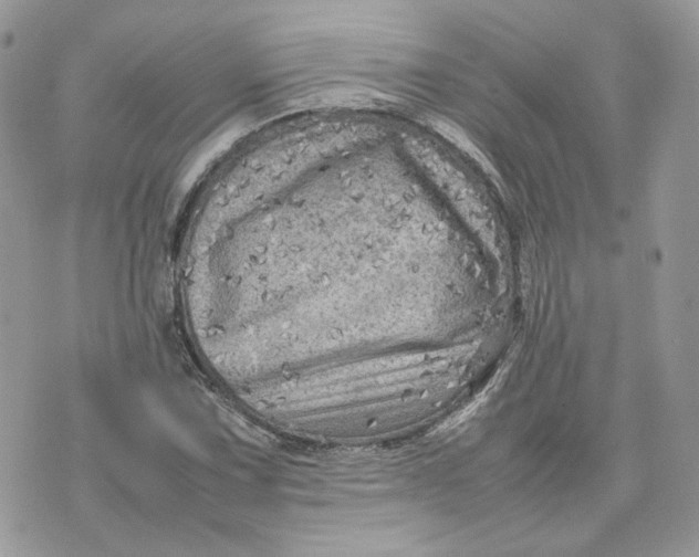 X0000075381067200609291545