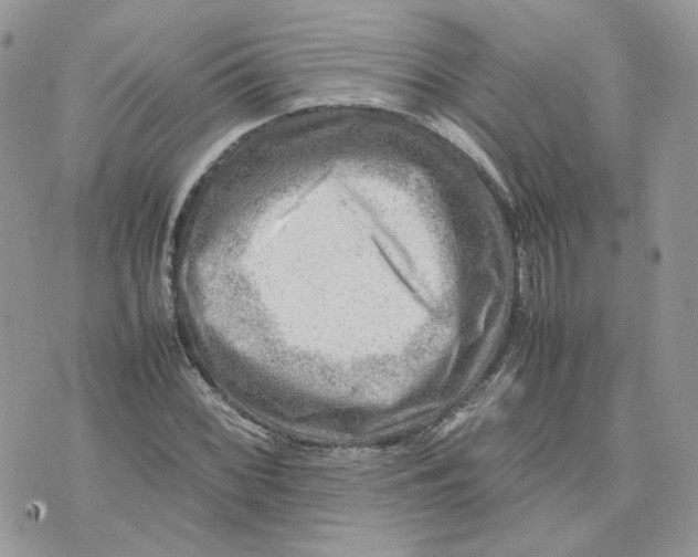 X0000075381068200609291545