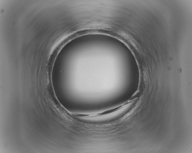 X0000075381069200609291545