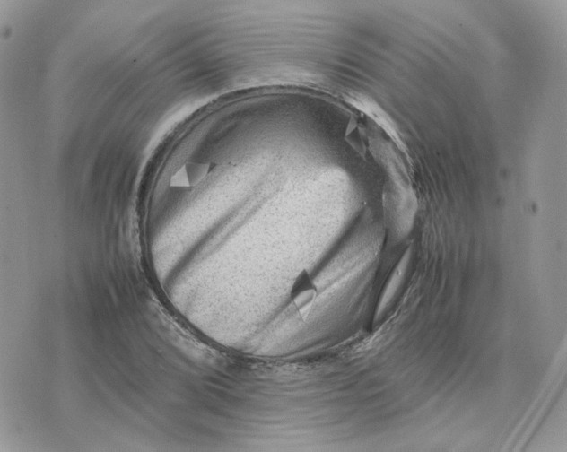 X0000075381072200609291545