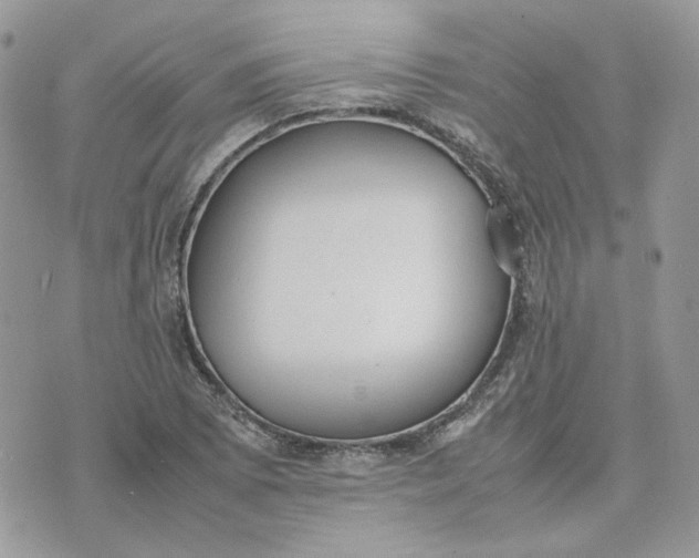 X0000075381073200609291545