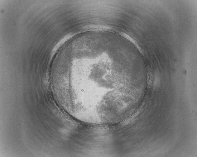 X0000075381074200609291545