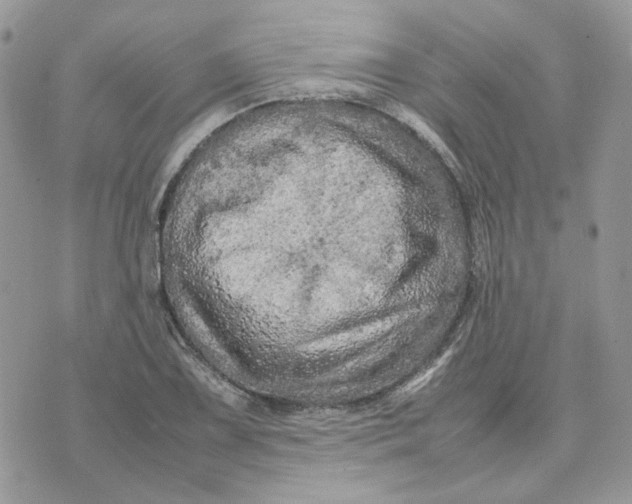 X0000075381075200609291545