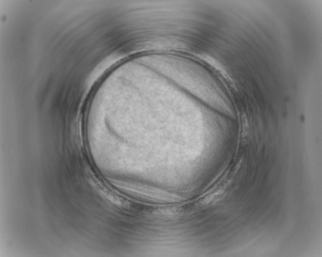 X0000075381078200609291545