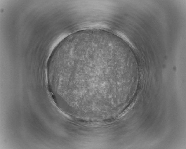 X0000075381079200609291545