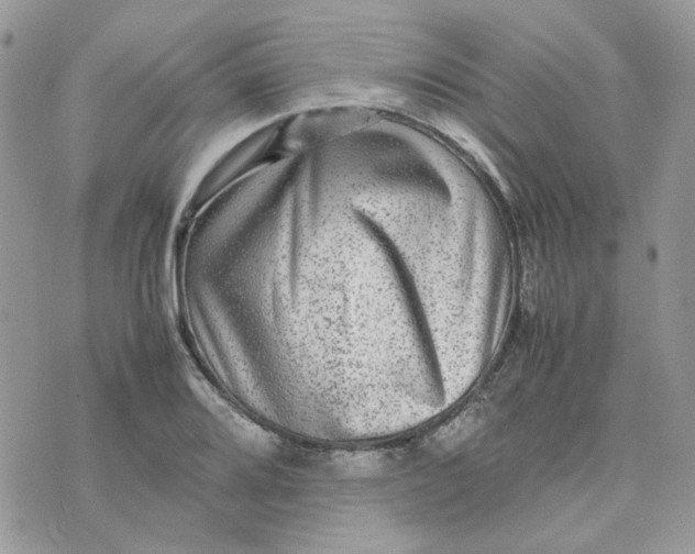 X0000075381080200609291545