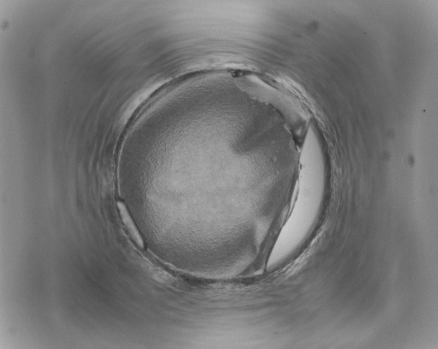 X0000075381081200609291545