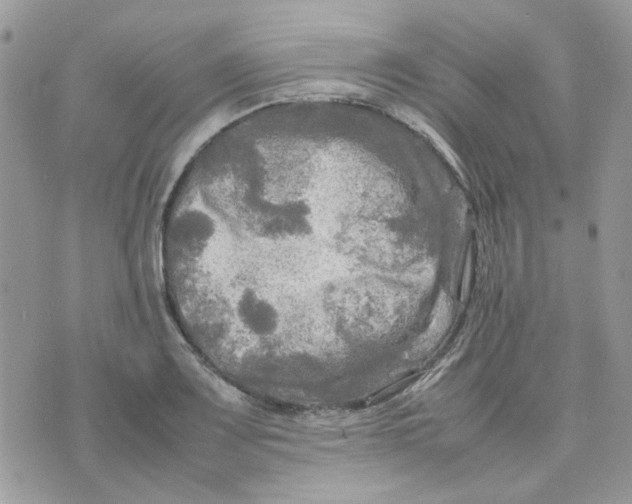 X0000075381083200609291545