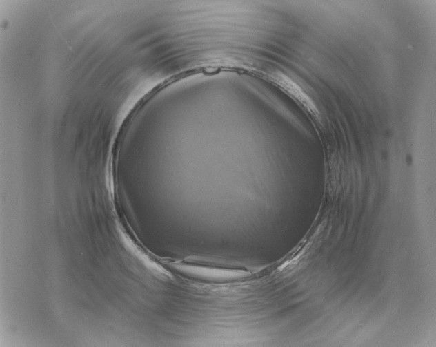 X0000075381084200609291545