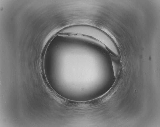 X0000075381085200609291545