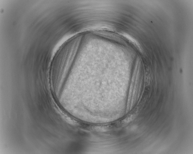 X0000075381086200609291545