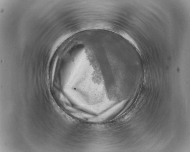 X0000075381088200609291545