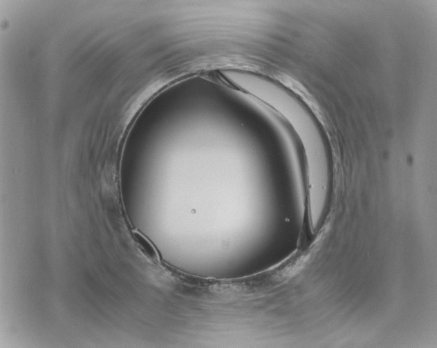 X0000075381089200609291545