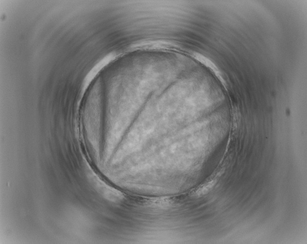 X0000075381090200609291545